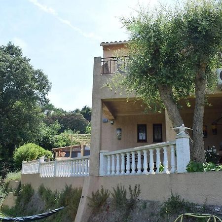 Appartement Neuf Et Independant Dans Rez-De-Villa Vallauris Eksteriør bilde
